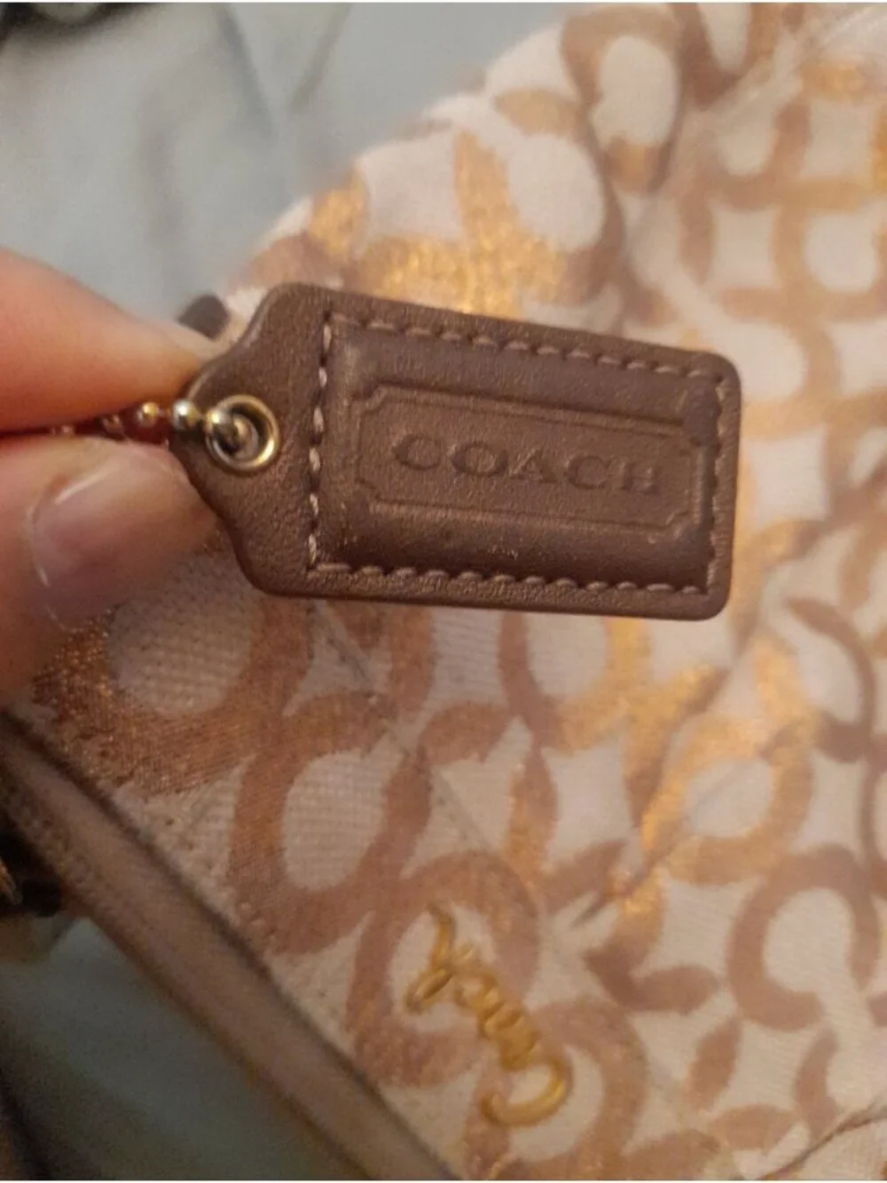 Coach mini crossbody